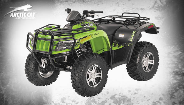 Bild på Arctic Cat 1000 LTD