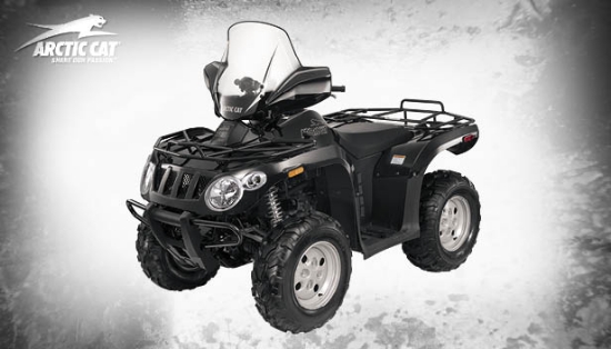 Bild på Arctic Cat 366 4X4