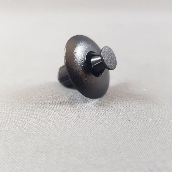 Picture of CLIP