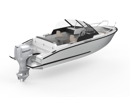 Picture of Silver Hawk BR