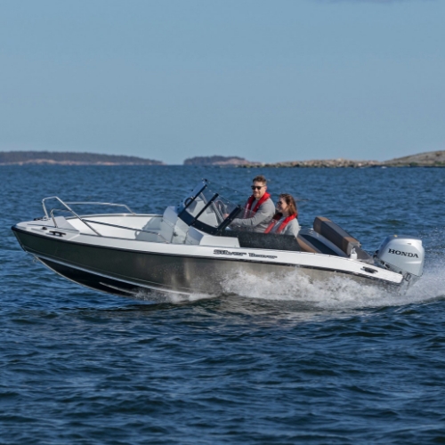 Picture of Silver Beaver BR