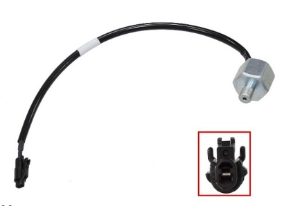 Picture for category Knock Sensors