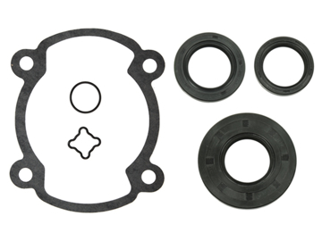 Visa detaljer för Packningssats komplett Rotax 250 FC Bild på Packningssats komplett Rotax 250 FC