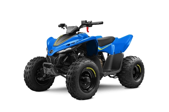 Billede af CFMoto Cforce 110 EFI