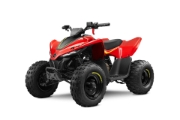 Billede af CFMoto Cforce 110 EFI