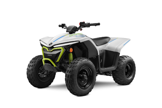 Bild på CFMOTO CFORCE EV110