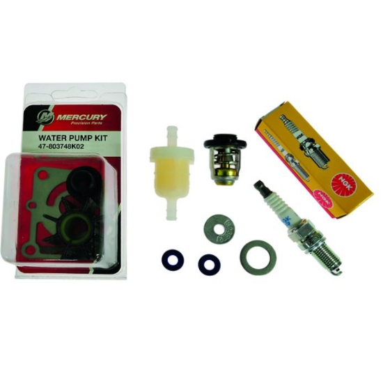 Bild på Service Kit 300hr Mercury 8-9.9hp 4-t BF & CT Gearcase