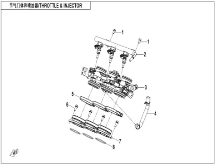 Picture for category THROTTLE & INJECTOR