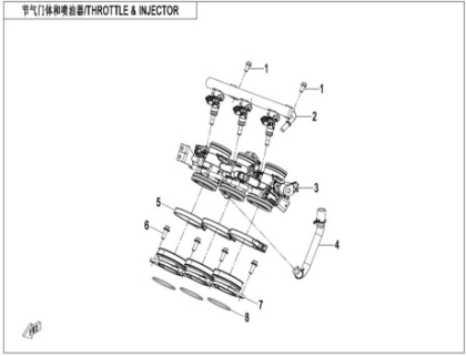 Picture for category THROTTLE & INJECTOR