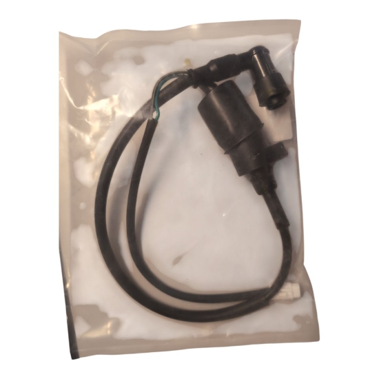Bild på IGNITION COIL Kayo 110