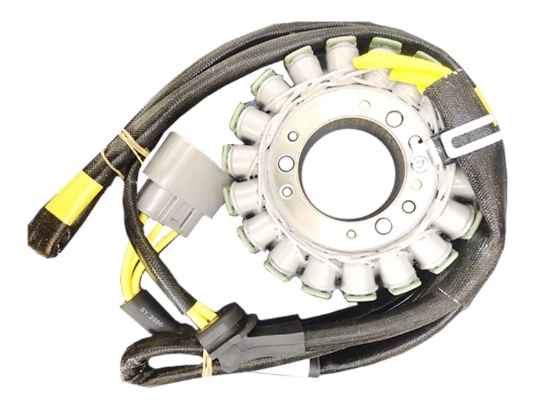 Picture of Stator Can Am