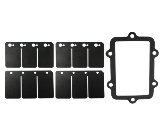 Bild på Reedventil Ski-Doo 800HO & 1000SDI 2003-07