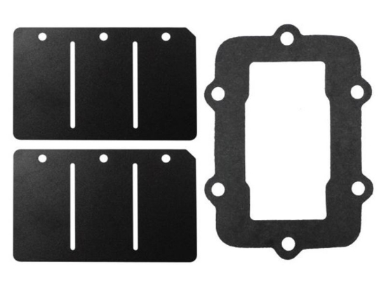 Bild på Reedventil Ski-Doo