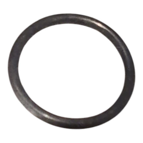 Picture of O-RING,TPS