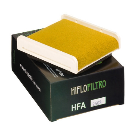 Picture of Kawasaki luftfilter HFA2503