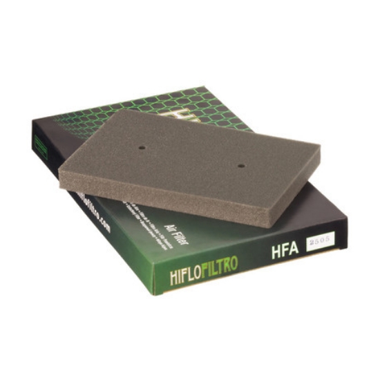Picture of Kawasaki luftfilter HFA2505